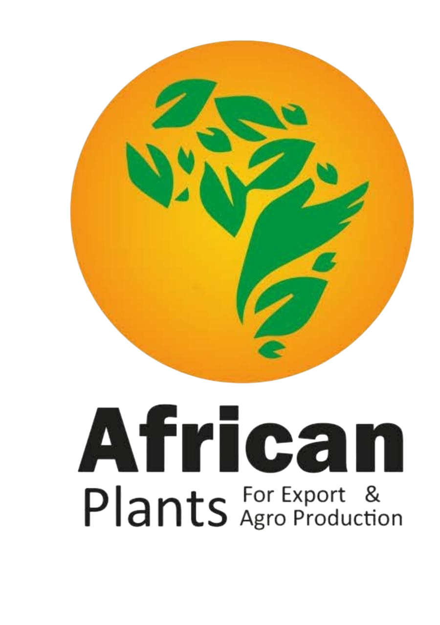 African Plants